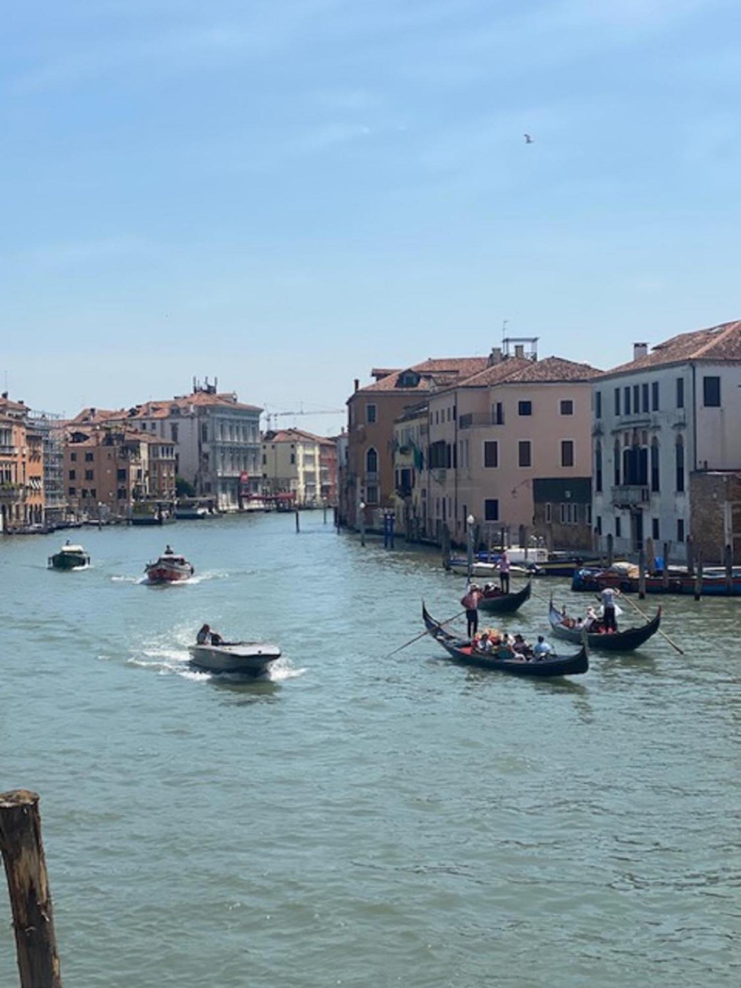 Palace Canal View By Wonderful Italy البندقية المظهر الخارجي الصورة